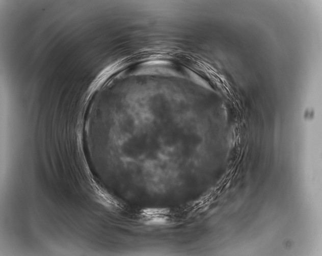 X0000099570051200805161526