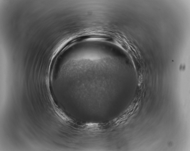 X0000099570052200805161526