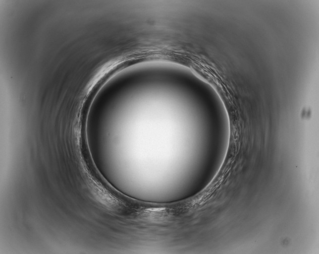 X0000099570054200805161526