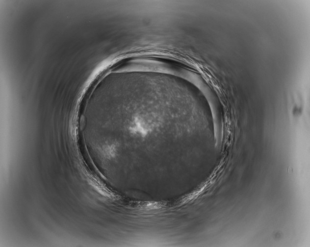 X0000099570056200805161526