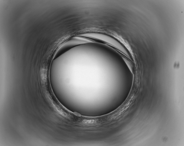 X0000099570057200805161526