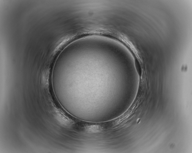 X0000099570058200805161526