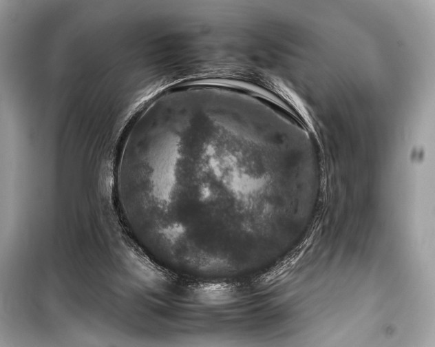 X0000099570059200805161526