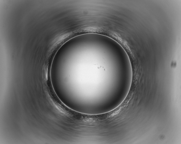 X0000099570062200805161526