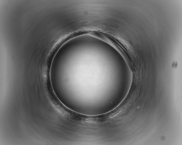 X0000099570064200805161526