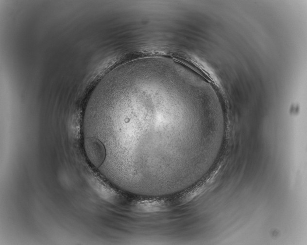 X0000099570065200805161526