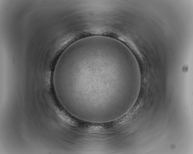 X0000099570066200805161526