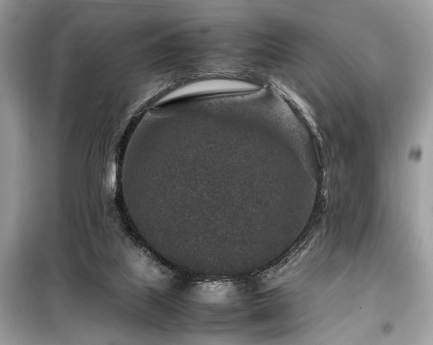 X0000099570067200805161526