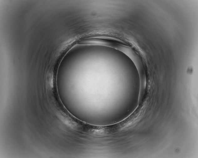 X0000099570068200805161526