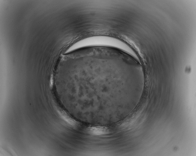 X0000099570069200805161526