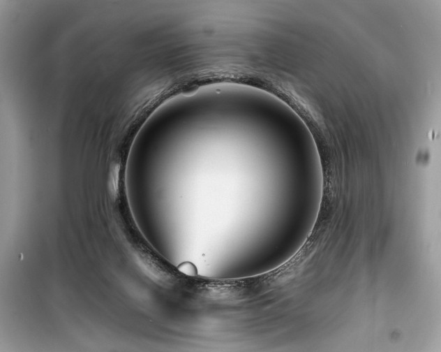 X0000099570070200805161526