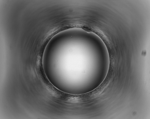 X0000099570071200805161526