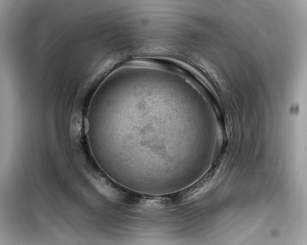 X0000099570072200805161526