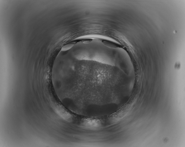 X0000099570073200805161526