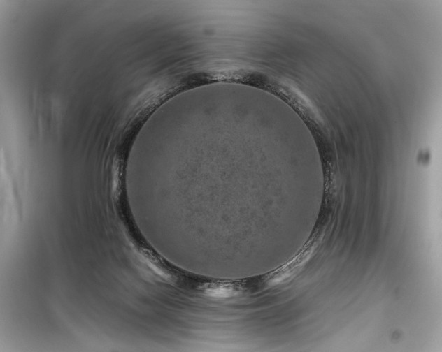 X0000099570074200805161526