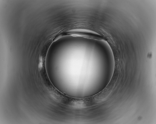 X0000099570075200805161526