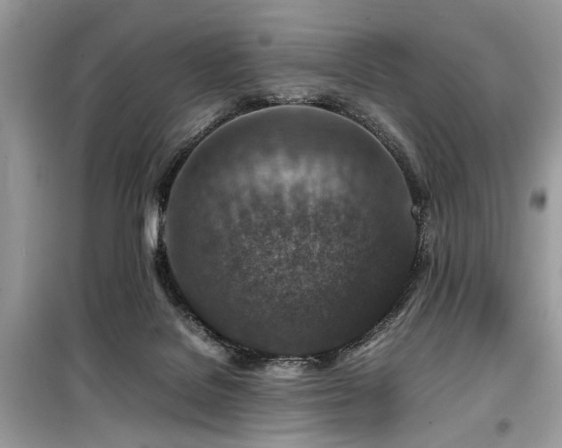 X0000099570076200805161526