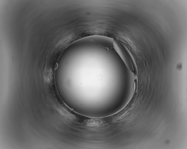 X0000099570077200805161526