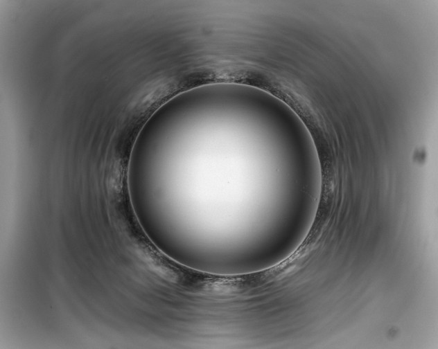 X0000099570078200805161526