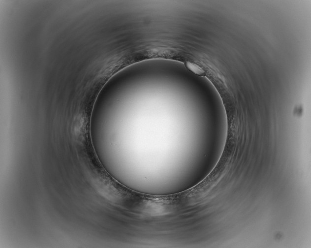 X0000099570079200805161526