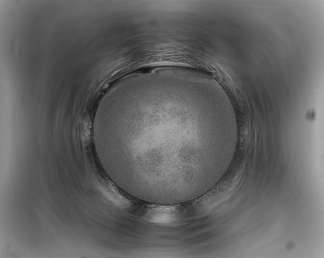 X0000099570081200805161527