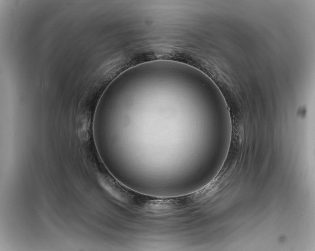 X0000099570082200805161527