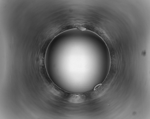 X0000099570083200805161527