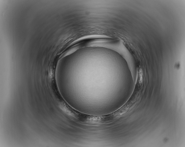 X0000099570084200805161527