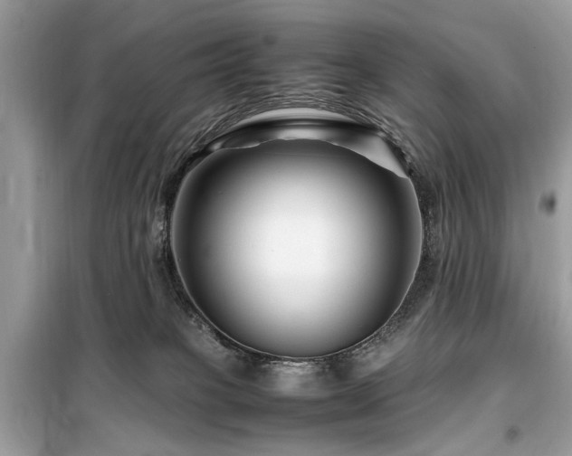 X0000099570085200805161527