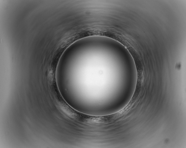 X0000099570086200805161527