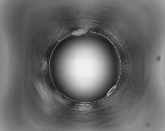 X0000099570087200805161527