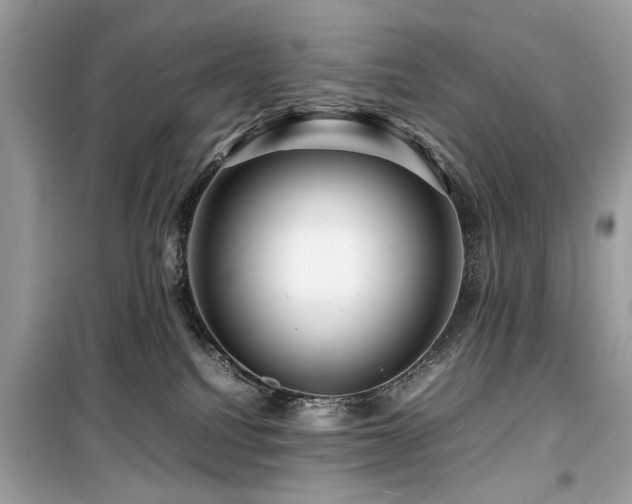 X0000099570088200805161527