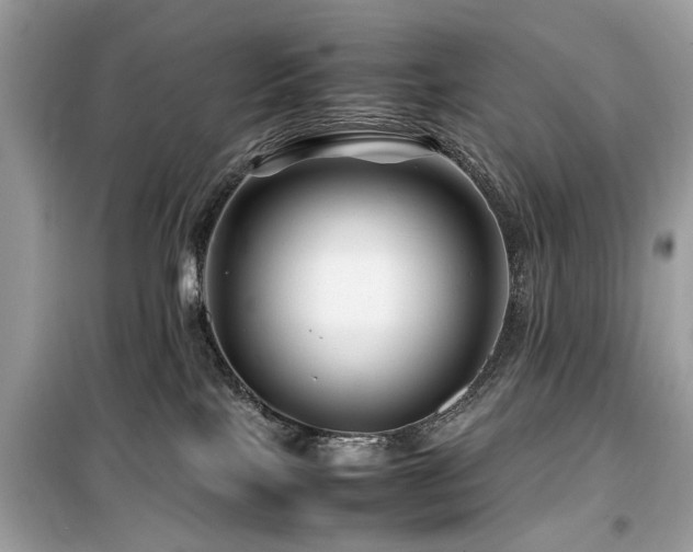 X0000099570089200805161527