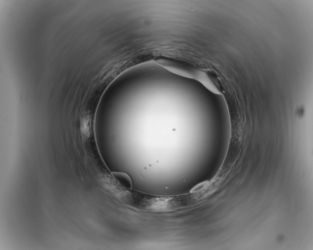 X0000099570090200805161527