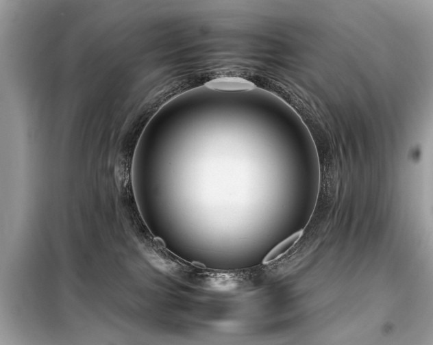 X0000099570091200805161527