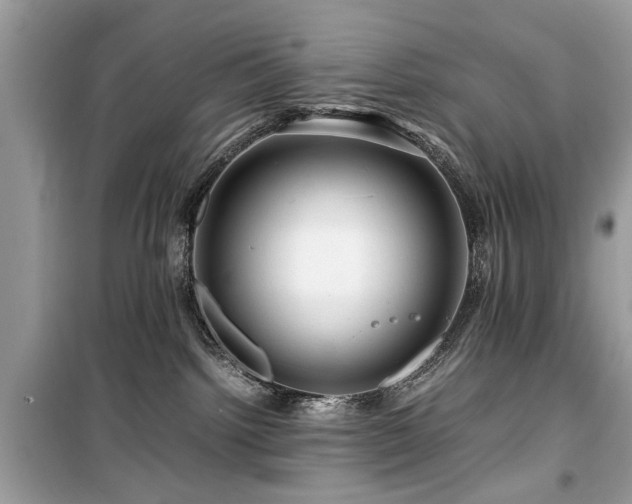 X0000099570092200805161527