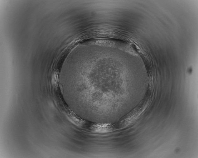 X0000099570093200805161527