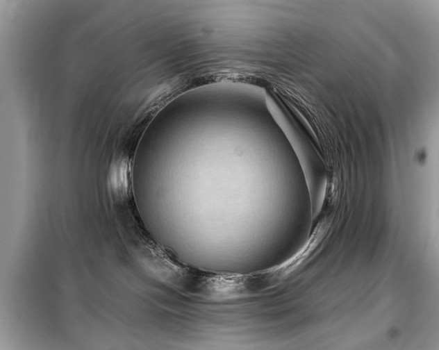 X0000099570094200805161527