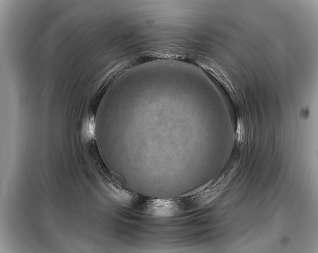 X0000099570095200805161527