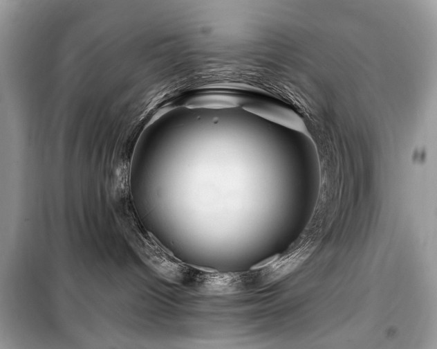 X0000099570096200805161527