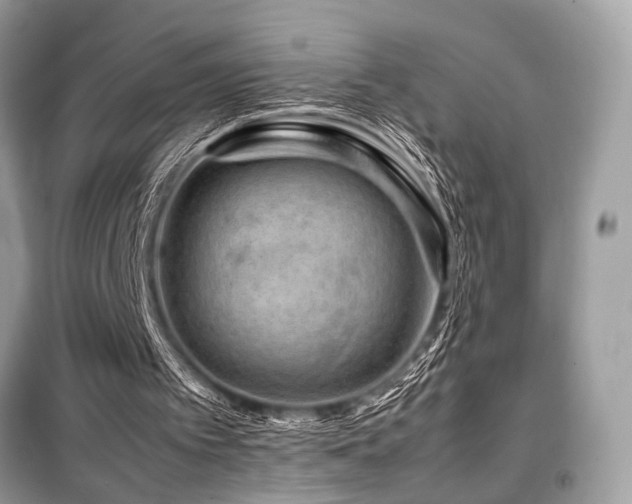 X0000099570097200805161526