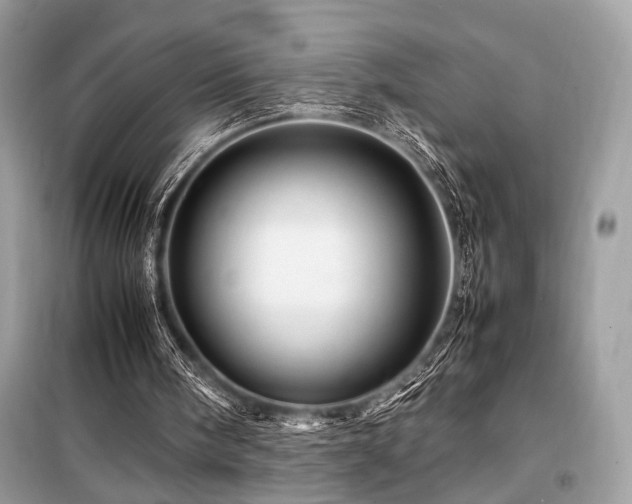 X0000099570098200805161526