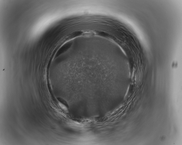 X0000099570099200805161526