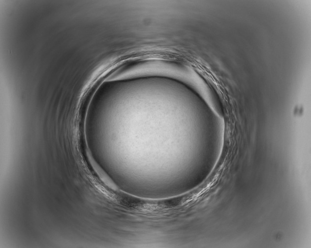 X0000099570101200805161526