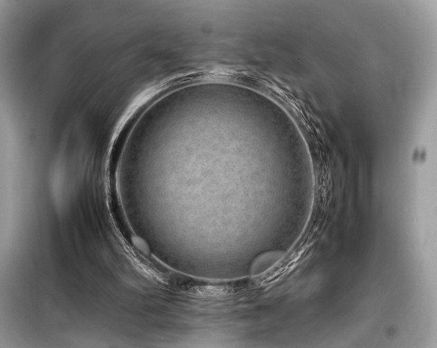 X0000099570102200805161526