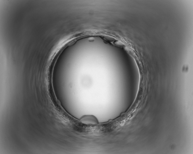 X0000099570103200805161526