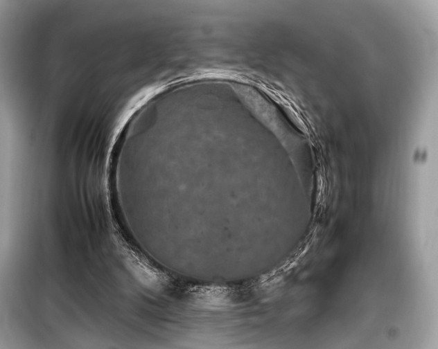 X0000099570104200805161526