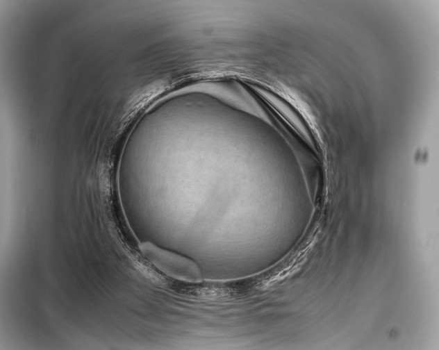 X0000099570105200805161526