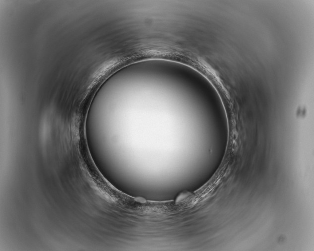 X0000099570106200805161526