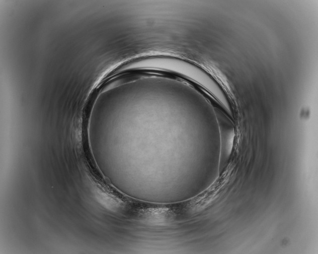 X0000099570108200805161526